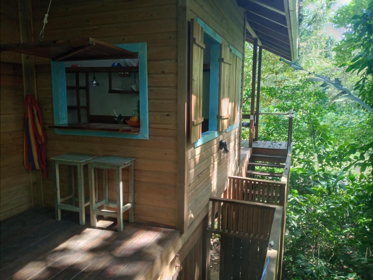 Jungle Paunch Villa Bocas Town Dış mekan fotoğraf