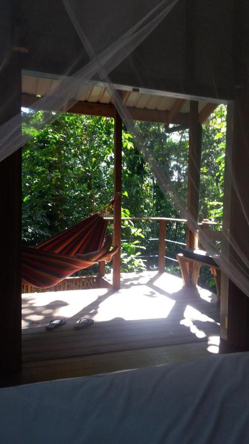 Jungle Paunch Villa Bocas Town Dış mekan fotoğraf