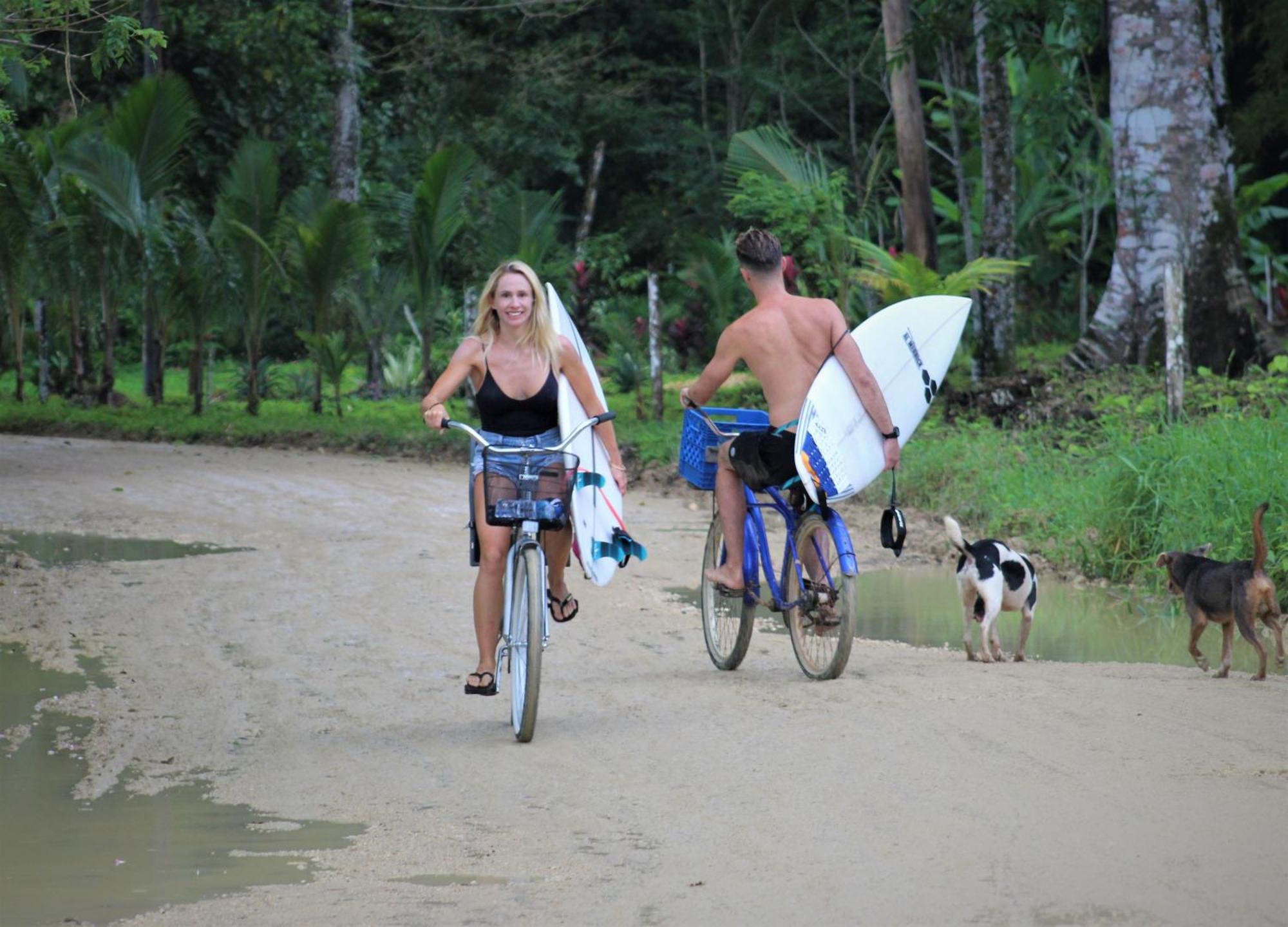 Jungle Paunch Villa Bocas Town Dış mekan fotoğraf